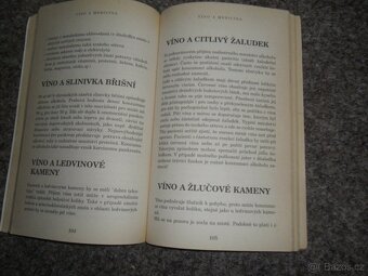 bylinky, léčivé rostliny, alergie, víno jako medicína, ovoce - 8