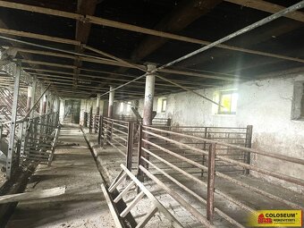 Křižanovice u Vyškova, zemědělský objekt, pozemek 5.144 m2 – - 8