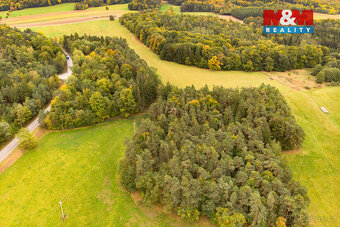 Prodej lesa, 39171 m², Ježovy - 8