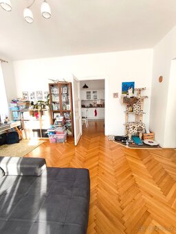 Vyjimecny byt 3+1 v lázních - 8