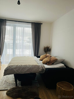 Krušec apartmán - ubytování - 8