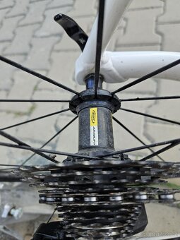 Silnička Tifosi Giro CK3 - 8