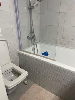 Pronájem bytu 1+1, 36 m², Denisova, Jičín – Valdické předm. - 8