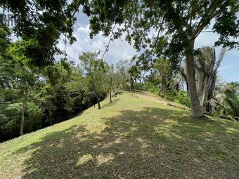 Lot 1 Bodden Bight Estate, Roatan - 8