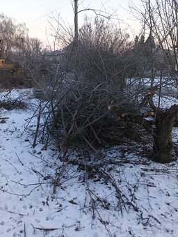 Větve na štěpkování zdarma. - 8