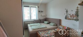 Nabízíme k prodeji byt 2+1 v atraktivní lokalitě města Příbo - 8