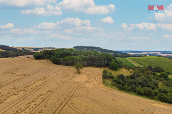 Prodej zahrady, 16882 m², Zvíkovec - 8