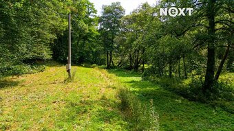 Prodej pozemek Louky, 4957㎡ - 8