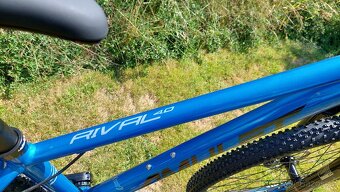 Amulet Rival 4.0 29 - 8