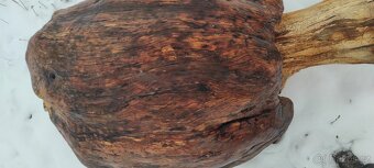 Dřevěný masivní samorost-želva. - 8