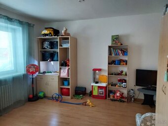 Pronájem rekonstruovaného bytu 2+1, 60m2 - 8