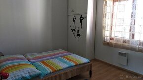 Prodám velký pasivní rodinný dům - 8