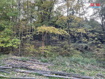 Prodej lesa, 164.841 m², Palkovice, okr. Frýdek Místek - 8