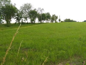 Úhonice - pozemek s investičním potenciálem 12 000 m2 - 8