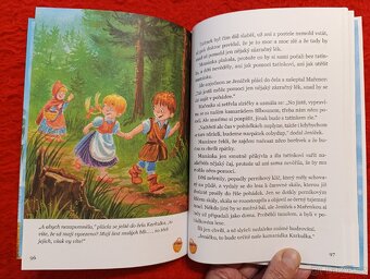 S BLBOUNEM ZA VELKÝM DOBRODRUŽSTVÍM - 8