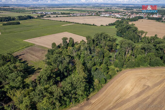 Prodej lesa, 2252 m², Horka nad Moravou - 8