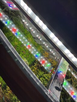 Prodám komplet Juwel Vision 180l. - 8