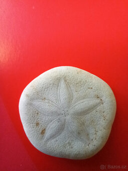 3 lastury + 2 písečné dolary - 8