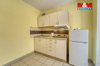 Pronájem bytu 1+1, 49 m², Sytno - 8