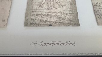 Obraz IKEA Olunda 21675 Leonardo da Vinci - 8
