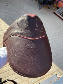 CWD 2Gs - 8