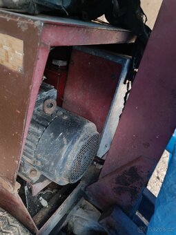 Kráčející bagřík - 8