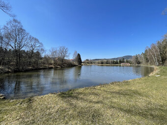 Prodej zahrady v Janovicích u Sušice 782 m2 - 8