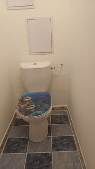 Pronájem bytu 2+1  Na Radouči Mladá Boleslav - 8