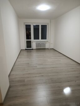 Pronájem bytu 2+1 - 8