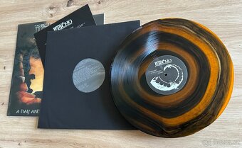 walls of jericho - vortex limited edition vinyl - 8