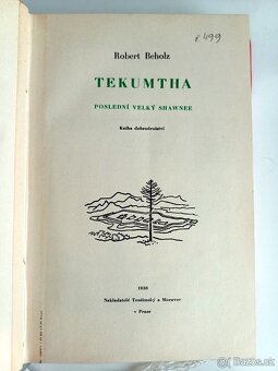 Robert Beholz - Tekumtha - 8