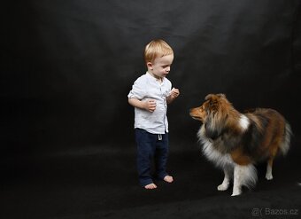 FOTOGRAFOVÁNÍ domácích mazlíčků - 8