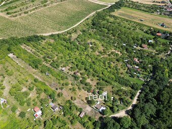 Prodej pozemku - zahrady, 1 698 m2 - Pouzdřany - 8