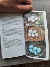 PRODÁM KNIHU KAPESNÍ PRŮVODCE PŘÍRODOU, ZVÍŘATA A ROSTLINY - 8
