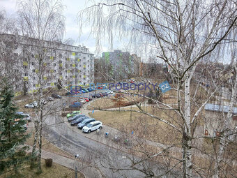 Prodej, byt 2+1, 54 m2, Havlíčkův Brod - 8