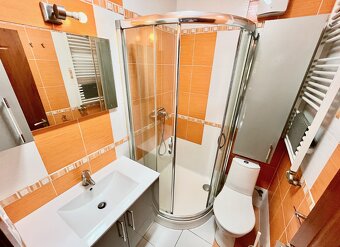 Pronájem bytu 6+ kk 110 m² - 8