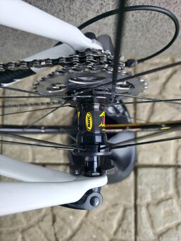 Silniční kolo Gepida Bandon 1100 Carbon – velikost 54cm (M) - 8