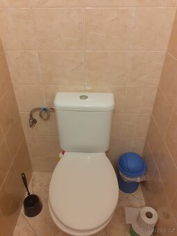 Prostorný a krásný byt ve Vysočanech - 8