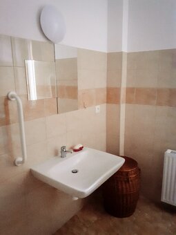 Pronájem bezbariérového bytu 1+kk 30 m² Ryžoviště, okres Bru - 8