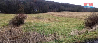 Prodej louky, 8010 m², Třebušín - 8