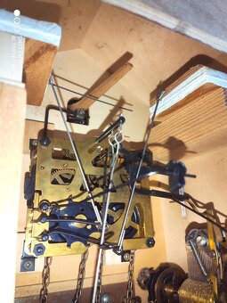 Hezke, hraci kukacky, Schwarzwald - 8