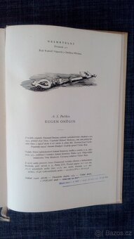 Alexander S Puškin – Eugen Oněgin - 8