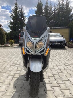 Kentoya Maximus 125 - 8