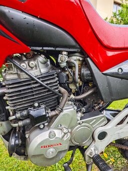 Honda FMX 650 - 8