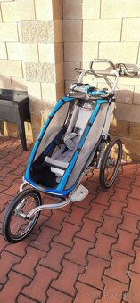 Thule Chariot - 8