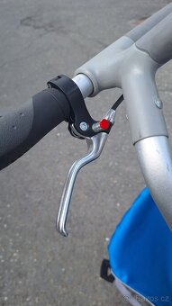 Thule Chariot CX1 - 8