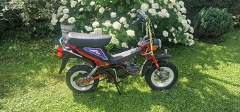 Babetta Stella 134 - 8