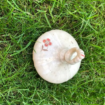 Porcelán sklo víčka - 8