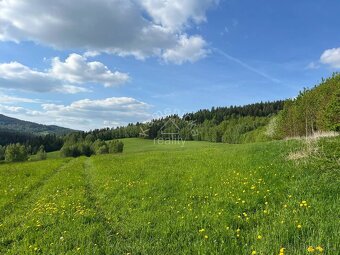 Prodej stavebního pozemku, Černá v Pošumaví - 8