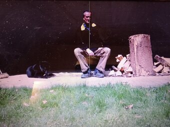 Správce nemovitosti - asistentka. - 8